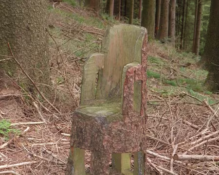 PXL092 la forêt est habitée
