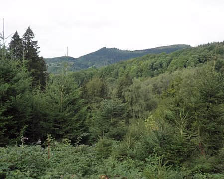 PXL097 vue vers le sommet Brandenkopf