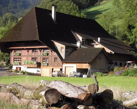 PXL119 une ferme dans les environs de Hausach