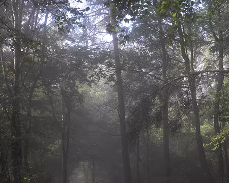 PXL124 dans la partie hantée de la forêt ...