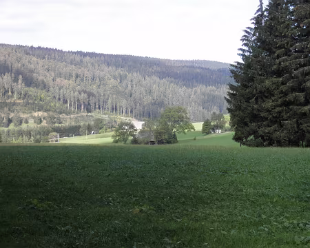 PXL172 le paysage devient plus ouvert