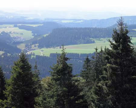 PXL188 vue vers le Feldberg, sommet de la Forêt Noire