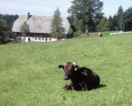 PXL204 çà, c'est pour le plaisir ... et puis on n'en voit pas tellement