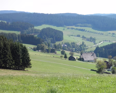 PXL206 la campagne en se dirigeant vers Titisee