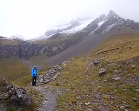 PXL023 Au loin un grand troupeau de chamois nous observe