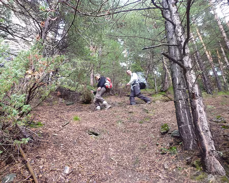 PXL031 Descente à travers le bois de Fontaniou