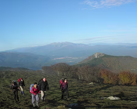 DSCN1421 Au pied du Canigou, Ceret.