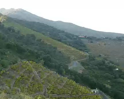 Hauteurs de Banyuls Hauteurs de Banyuls