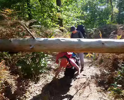 PXL050 avec en prime un ptit parcours santé