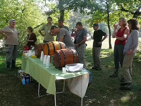 2011-10 Fontainebleau