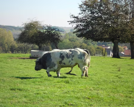 PXL011 Bas sur pattes