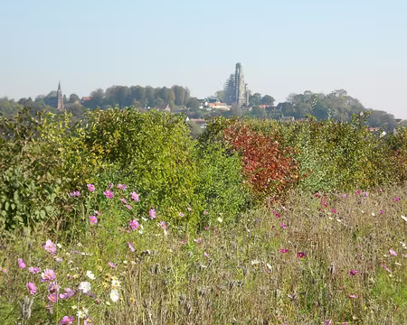 PXL041 Les tours de Mont-Saint-Eloi