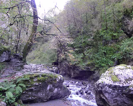 007 Cascades et bassins.