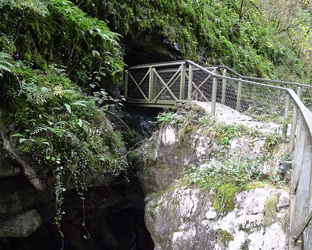 016 Un passage creusé dans la végétation !