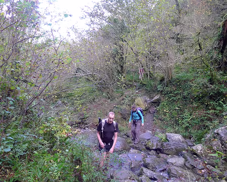 040 Au fond des gorges, dans une végétation là aussi luxuriante (même en automne).