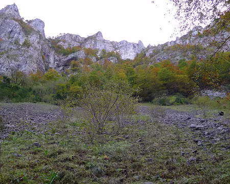 041 Au fond des gorges.