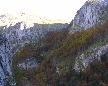 044 ... et nous nous extrayons de la forêt.