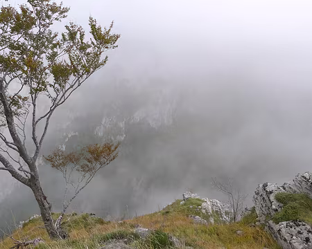 063 La brume empêche voir le fond, 400m plus bas.