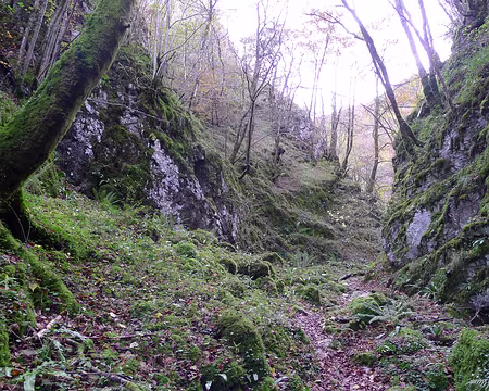 069 ... à travers bois.