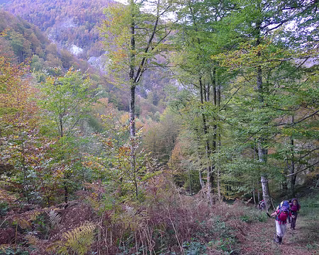 071 ... pour une longue montée dans le Bois de Lèche.