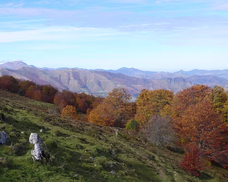 076 Jolies couleurs, au débouché du bois.