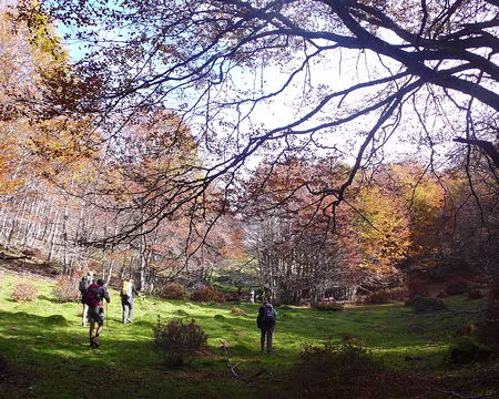 077 Jolies couleurs, au débouché du bois.