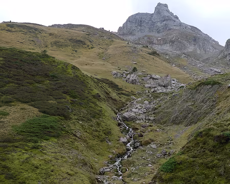 099 ... et la verdure.