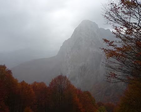 102 La pluie tant redoutée est arrivée. Mais les couleurs automnales restent magnifiques.