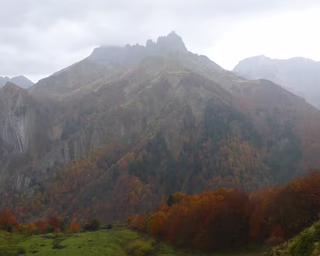 103 Couleurs automnales.