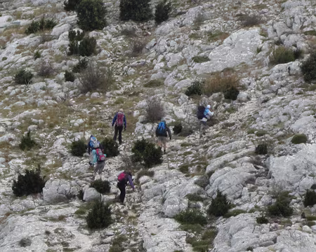 PXL022 Tous courbés pour affronter le vent