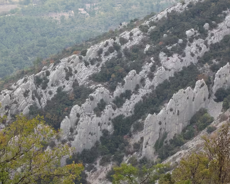 PXL023 Des lames façonnées par le temps