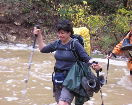 PXL037 Loli, toujours aussi alerte.