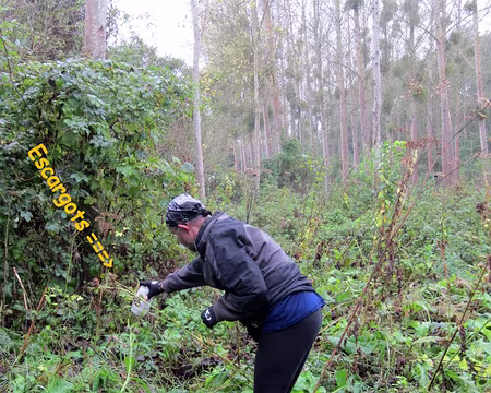 PXL003 B.A. (libération des escargots !)
