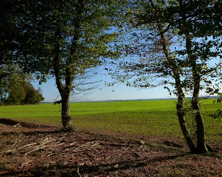 PXL045 Week-end ensoleillé