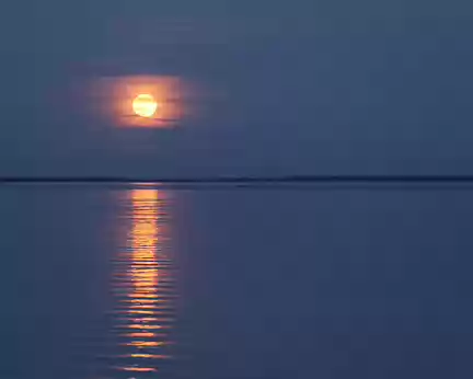 7625 Clair de lune sur l'étang de Cazaux