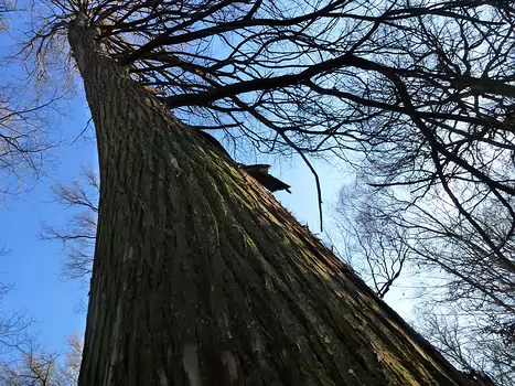 2011-12 Fontainebleau