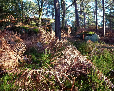 PXL038 Dernière partie