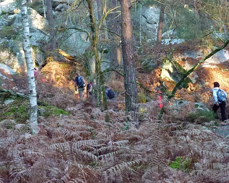 PXL040 quelques rochers