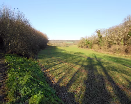 PXL003 le ravin du Patrouillot