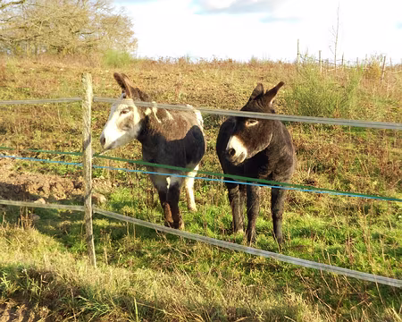 PXL012z1086 Vaubesnard, près de Dourdan