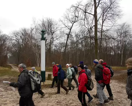 PXL001 Forêt de Coye