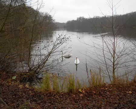 PXL004 ...des étangs de Commelles créés au XIIIè siècle faisant partie du domaine de Chantilly.
