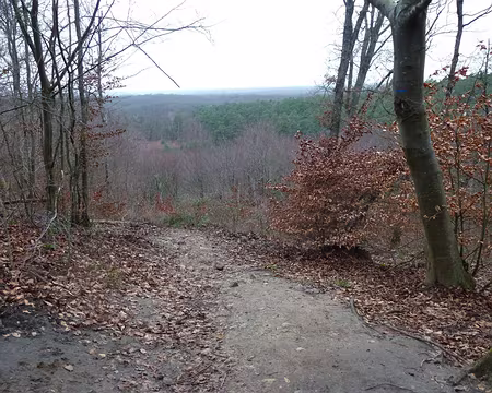 PXL001 Point de vue sous un ciel gris