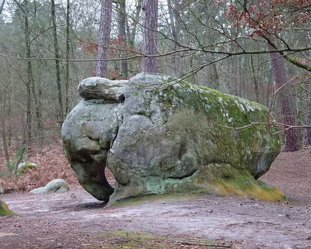 PXL013 Caché-révélé par la pierre, le petit éléphant