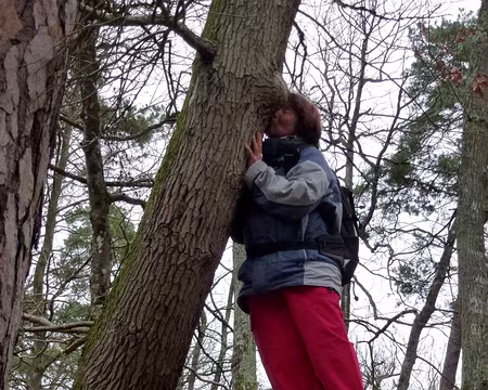 PXL015 Bisou de l'arbre au rocher et de la promeneuse à l'arbre