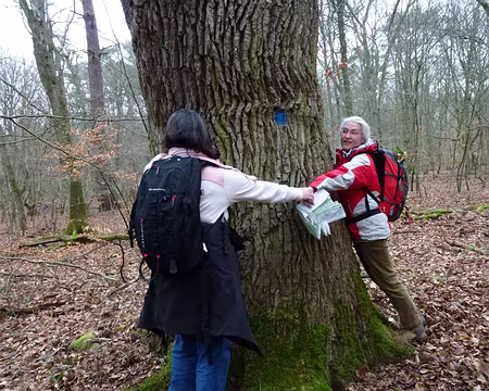 PXL034 Impressionnante circonférence qui requiert les bras de presque quatre personnes