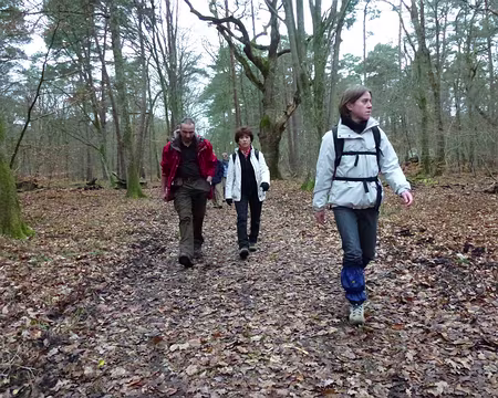 PXL036 Dernière ligne droite vers la gare de Bois-le-Roi