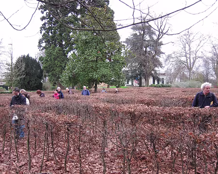 34 Sélection naturelle de participants