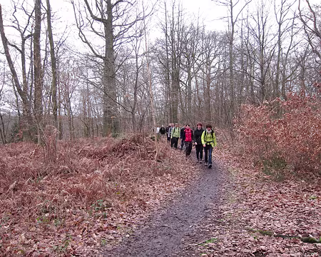 PXL004 RANDO DU 22 JANVIER