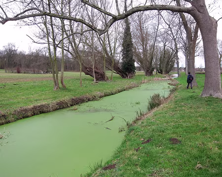 PXL011 Parc du château de Plaisir